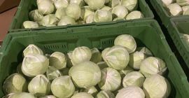 Продам белокочанную капусту Грузовые перевозки Очень хороший товар У