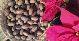 Le noci Pecan sono un alimento che si presta