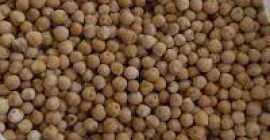 SPECIFICATIONS: Product Type: Chickpeas Foreign material: 0.2% max. Seed