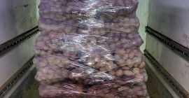 У меня есть на продажу 440 мешков белларозы по