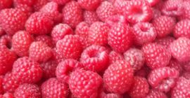 Bio Bio-Himbeere (die Himbeere hat ein Bio-Herkunftszertifikat) Sorte: Fertődi