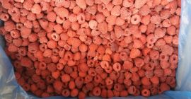 Szanowni Państwo, możemy zaoferować Państwu Maliny w ilości 20