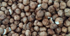Eko nocciole senza guscio 10,23 €/1 kg.
