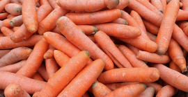 I will sell &quot;od sort&quot; carrots for animal feed.