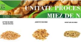 Unitate de procesare a miezului de nuca va ofera