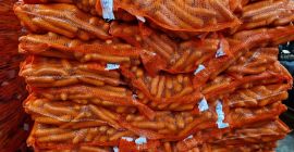 Ich werde Karotten in handelsüblicher Qualität verkaufen, Tel.: 604-356-228
