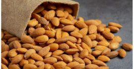 Organic Raw Almond Nuts WhatsApp +61 402164964 After 5