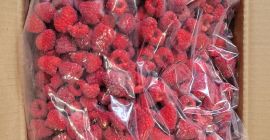 Vendo lamponi surgelati 95/5%, cartone da 10 kg (4