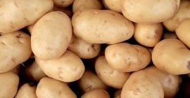 Wenn es um Kartoffeln geht, bauen wir Hahnkartoffeln in