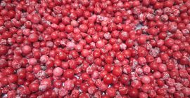 Предлагаме Idared, Jonaprince, Golden, Gala, Red Chif и други