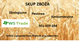 Compania WS-TRADE va cumpăra printre altele cereale ovăz, grâu,