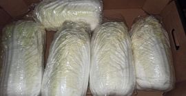 I will sell Chinese cabbage caliber 1.5-2.5
