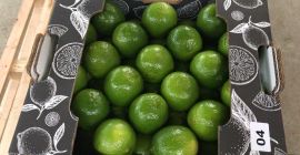 Persian or Tahiti limes are seedless nature and are