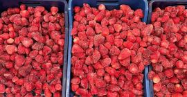 Ich werde gefrorene Erdbeeren verkaufen. Verschiedene Kaliber, sehr große