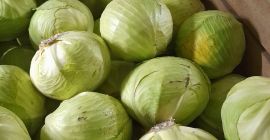 I will sell white cabbage, market quality, caliber from