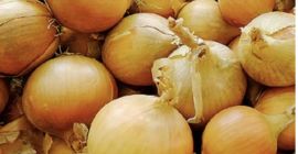 60-80 mm Packed 10/15/20 bags Quantity 23 tons
