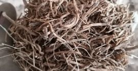valerian root for sale, well cleaned, rinsed, acid content