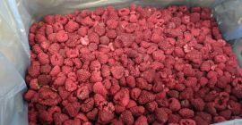 In vendita: lamponi surgelati 90/10 - 3,6 euro lamponi