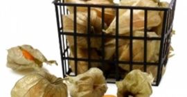 PHYSALIS PERUVIANA Prezentări în vrac 2KG - Coșuri 100G