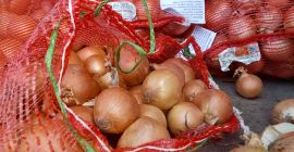 Hummingbird onion 5+. No damage or insects. Long stored.