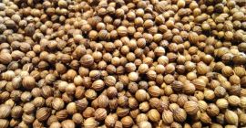 We are an agricultural producer and processor company in