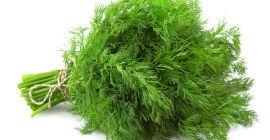 Welcome, we are the company «KGS GROUP», which imports