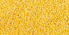 Wir bieten Getreide aus Wir bieten Getreide aus eigener Produktion an. - Gehackte