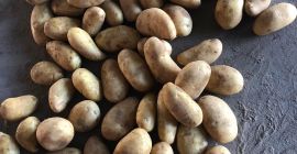 Our company works with much varities of fruits and