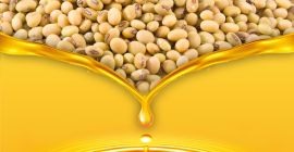 MarculestiCombi SA also offers cereals for export: •wheat (min