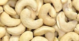We are direct exporters of cashew nuts , we