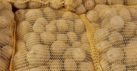 I will sell yellow potatoes caliber 5+ With FITO