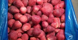 We offer frozen strawberries, Egypt origin, Uncalibrated, Festival variety,