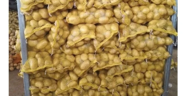 Све величине на велико Свежи кромпир на продају 1.