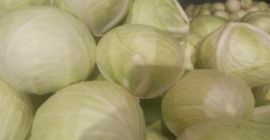 White cabbage and other vegetables export large quantities White