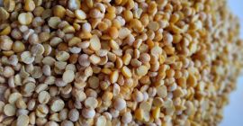 We offer cereals from the manufacturer: green buckwheat, split