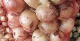 I will sell young onions from Uzbekistan. Directly from