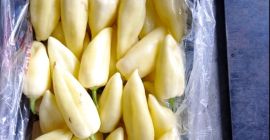 We offer direct deliveries of Bianca pepper. Always high