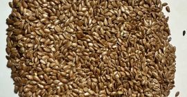 linseed, KZ import, in warehouses in Poland, purity 99%,