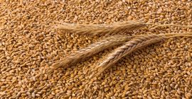 Marculesti Combi SA offers the following products for export: