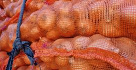 We cordially invite you for onions straight from Egypt