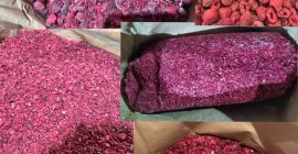 - Original frozen raspberry 80/20 for further processing -