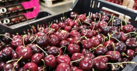 I will sell Cherries Country of origin Spain Variety