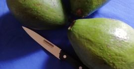 Wir sind ein Produzent von frischen Avocados in Burundi,