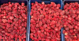 Gefrorene Erdbeeren Wir bieten gefrorene Erdbeeren von höchster Qualität.