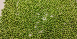 I will sell frozen peas. 25 or 30 kg