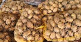 I will sell new potatoes. Fresh goods, dug up