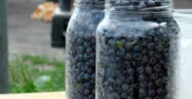 I will sell blueberries PLN 18 per liter