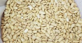 Продам: целые орехи кешью 5 тонн цена 27 злотых/кг