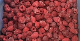 Raspberry roland 90/10 with ECO-CERTIFICATE