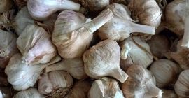 Hello, I&#39;m selling Spanish garlic, white, red, the size